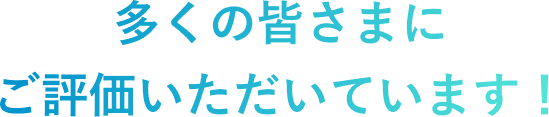 ビットでんき SP 利用者の声 サブタイトル